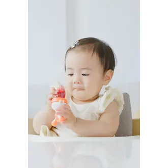 Quark Baby Fruuti Baby Fruit Feeder