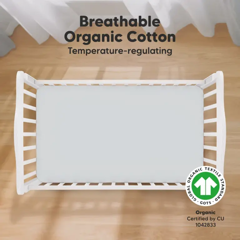 Cot top sheet online