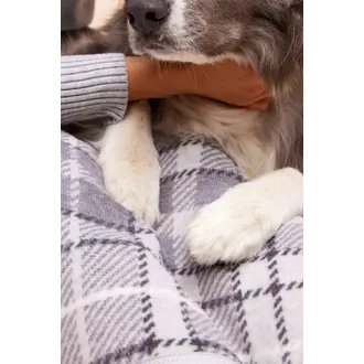 ChappyWrap ChappyWrap Midi Blanket- Andover Plaid