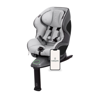 babyark Babyark Convertible Car Seat- Smart
