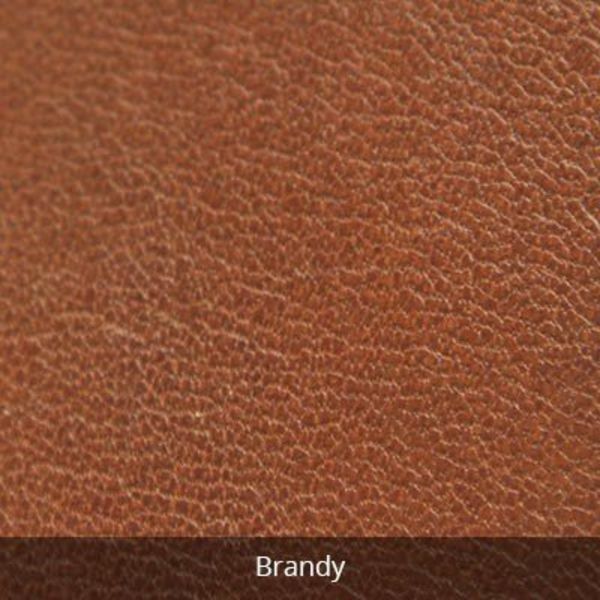 Osgoode Marley RFID Passport Cover
