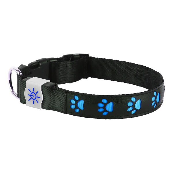 NIGHT SCOUT DOG COLLAR (DGNTS)