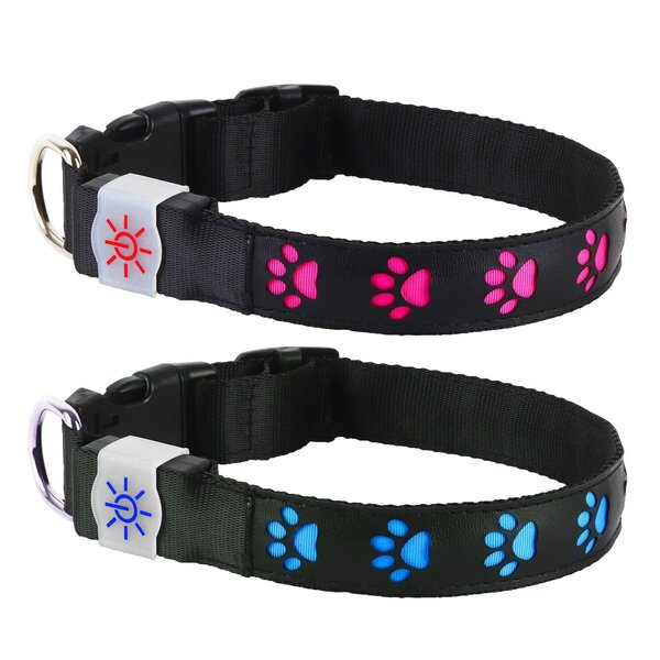 NIGHT SCOUT DOG COLLAR (DGNTS)