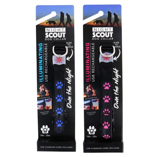 NIGHT SCOUT DOG COLLAR (DGNTS)