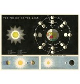 Poster The Phases Of The Moon