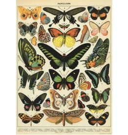 Poster Butterfly