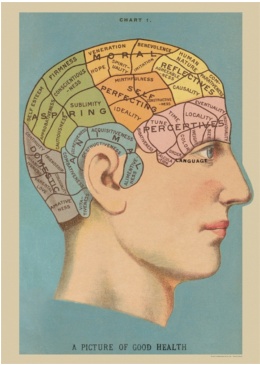 Poster Phrenology