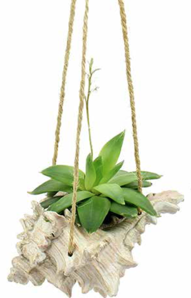 Resin Shell Planter
