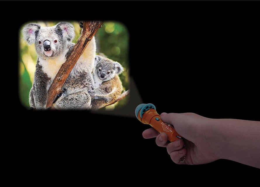 ISAlbi Torch Projector - Australian
