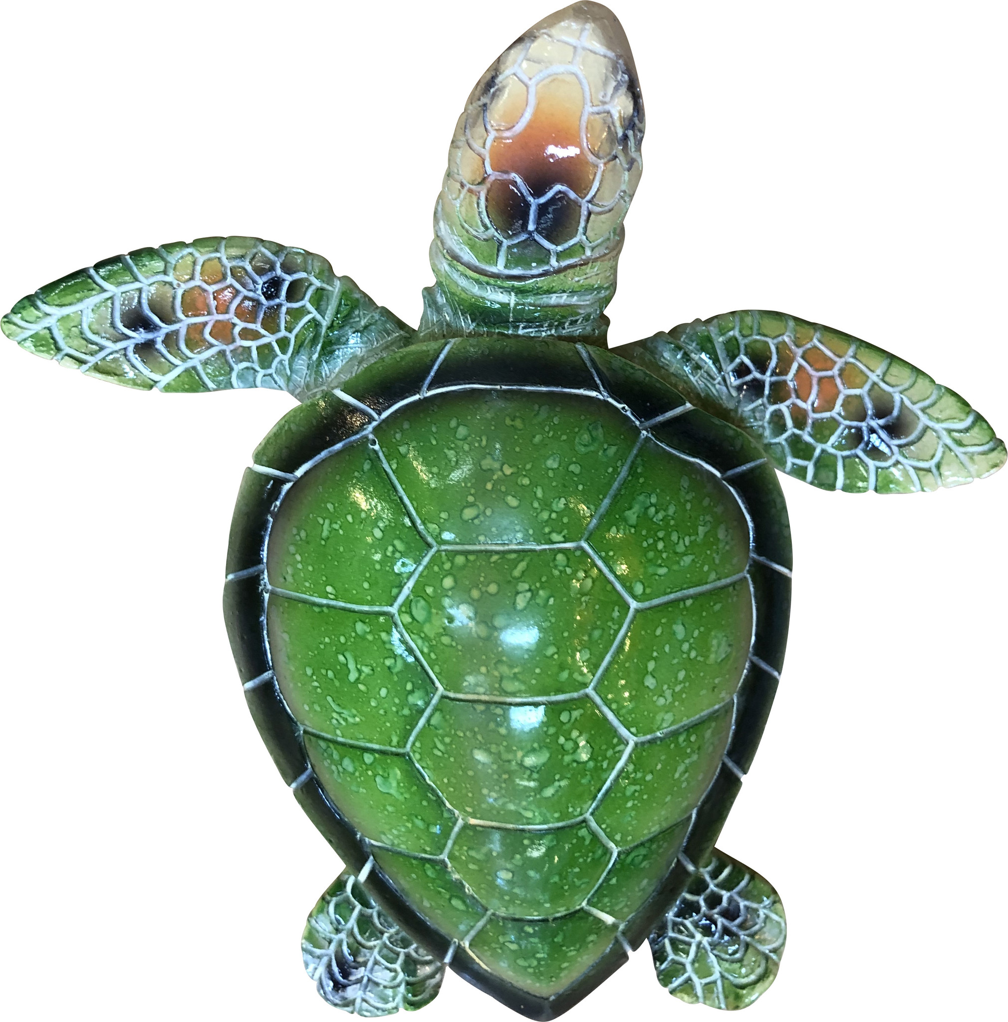 Local Bloke Medium Turtle