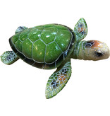 Medium Turtle