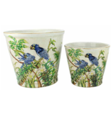 Pot Les Aras (Small)