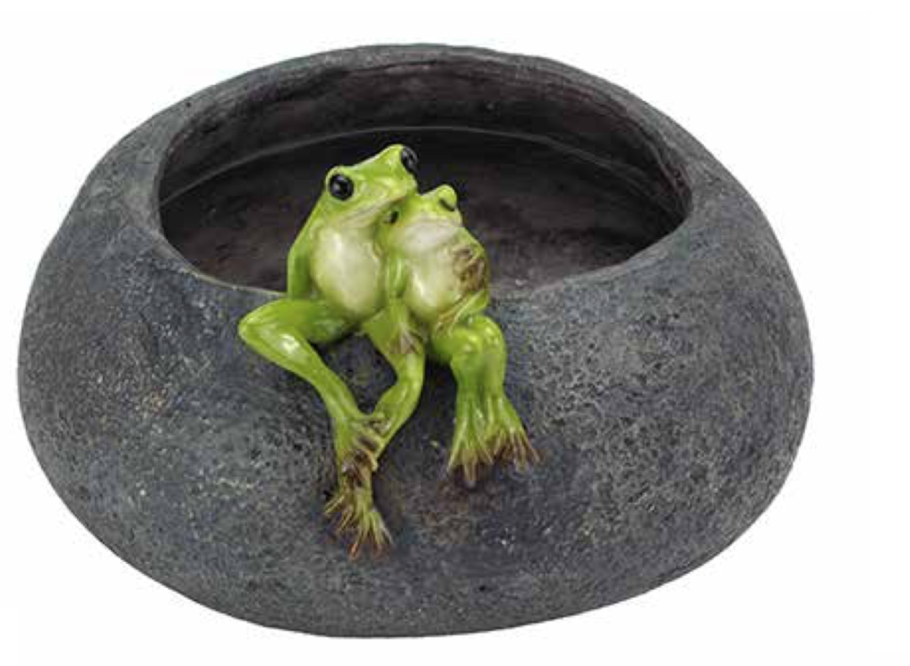 Froggy Lovers On Pot