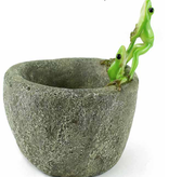 Froggy Rescue On Pot