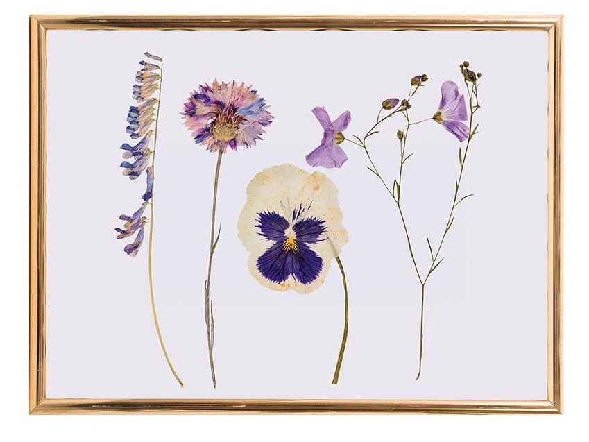 ISAlbi Flower Press