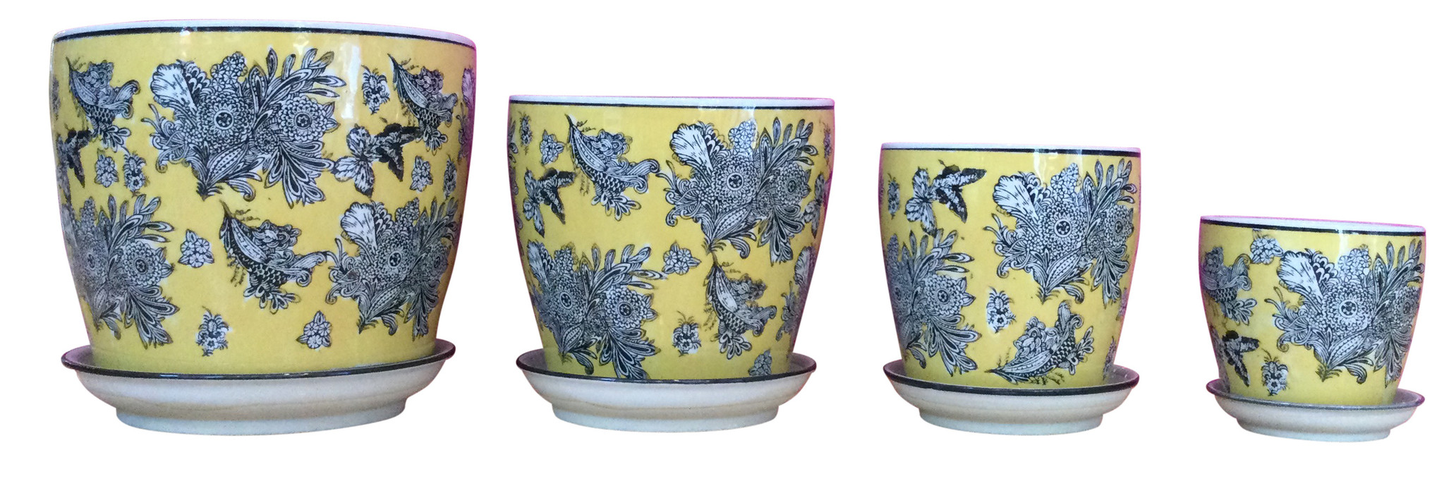 Pot Wild Canary (Large)