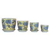 Pot Wild Canary (Medium)