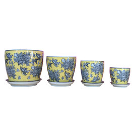 Pot Wild Canary (Extra Small)