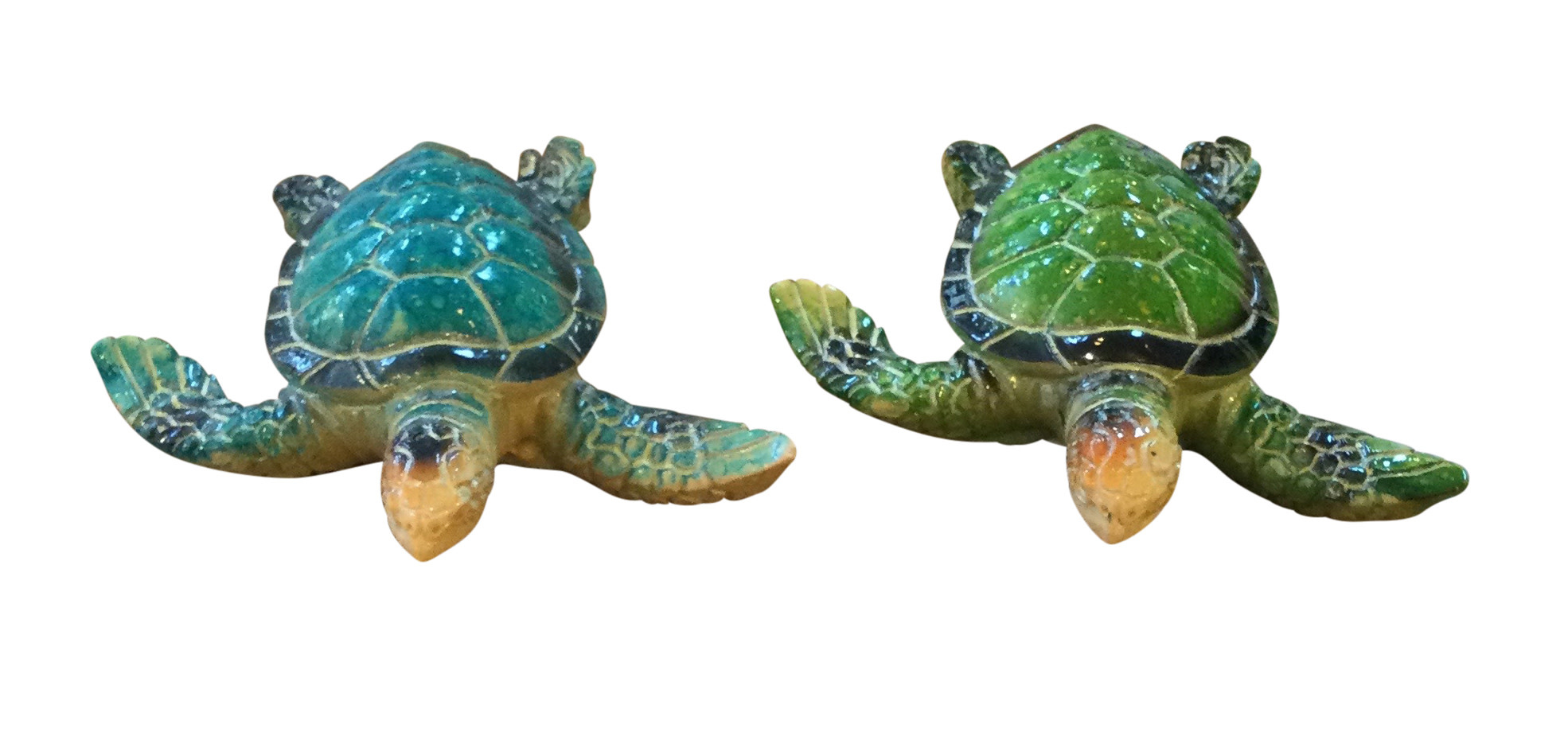 Local Bloke Baby Turtle