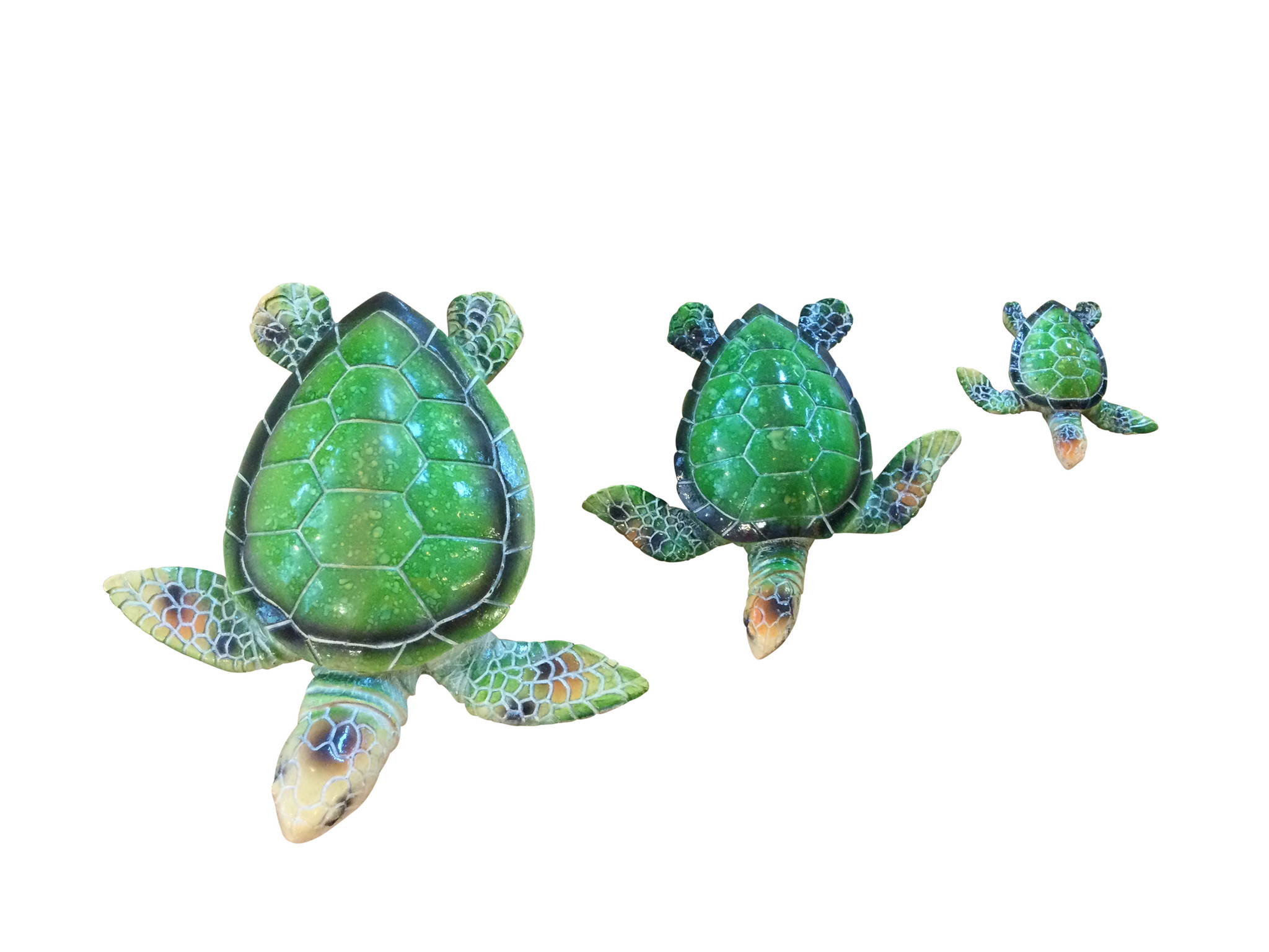 Local Bloke Ceramic Turtle - Medium Turtle