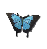 Local Bloke Fridge Magnet- Ulysess Butterfly