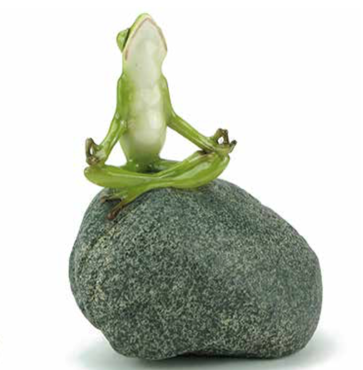 Zen Frog