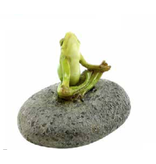 Zen Frog - Mini