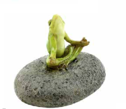 Zen Frog - Mini