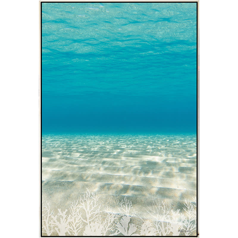 Framed Canvas - Ocean Floor