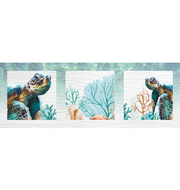 Canvas - Turtle Triptych