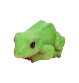 Frog - Crouching