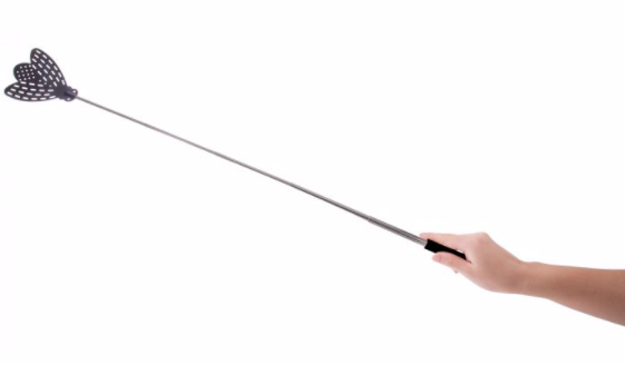 ISAlbi Telescopic Fly Swatter