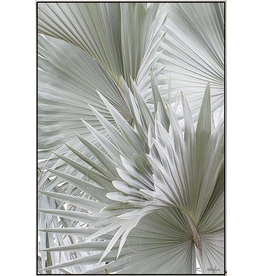 Framed Canvas - Royal Palm