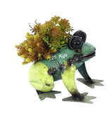 Think Outside Pad Me Pond Frog - Planter