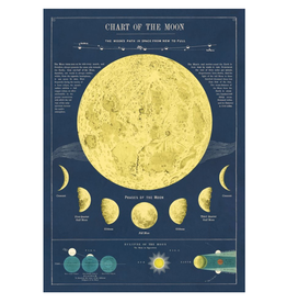 Poster Moon Chart