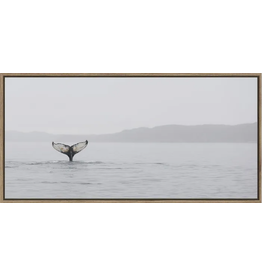 Framed Canvas - Whale Tail