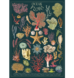 Poster Coral