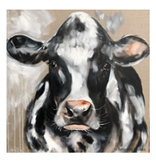 Phillip Bay Trading Coaster - Molly Fresian