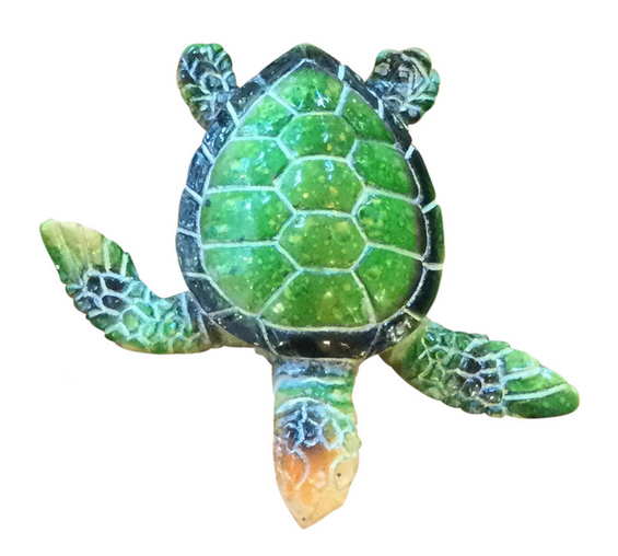 Local Bloke Baby Turtle