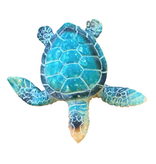 Local Bloke Baby Turtle