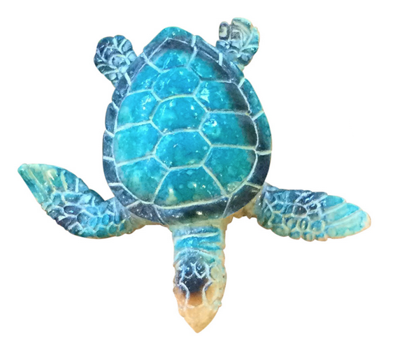 Local Bloke Baby Turtle
