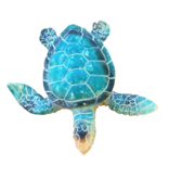 Local Bloke Fridge Magnet - Turtle