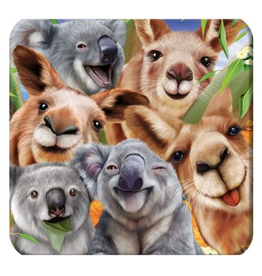 3D Coaster - Koala & Kangaroo Selfie
