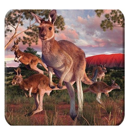 3D Coaster - Kangaroo in the Outback