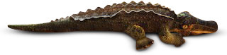 Local Bloke Plush Crocodile