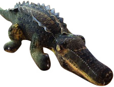 Plush Crocodile
