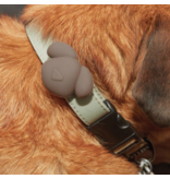 Pet Tracking Accessory