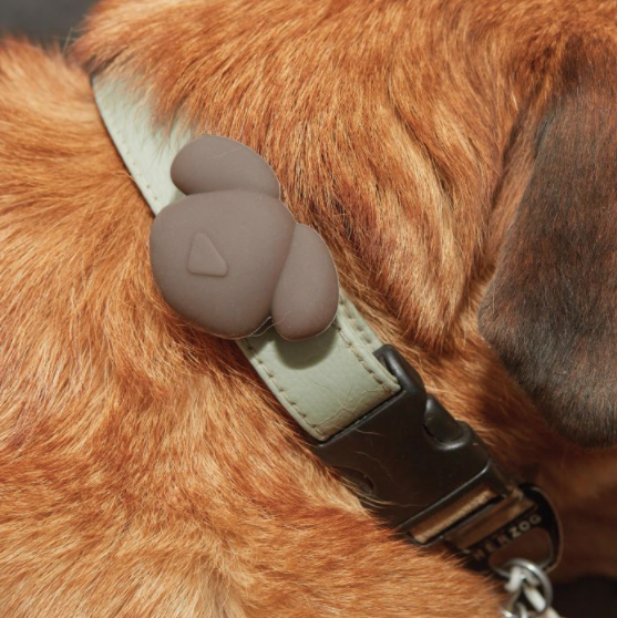Pet Tracking Accessory