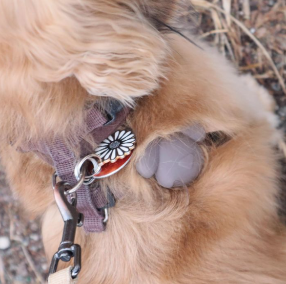 Pet Tracking Accessory