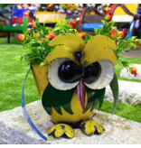 Think Outside Owl Planter